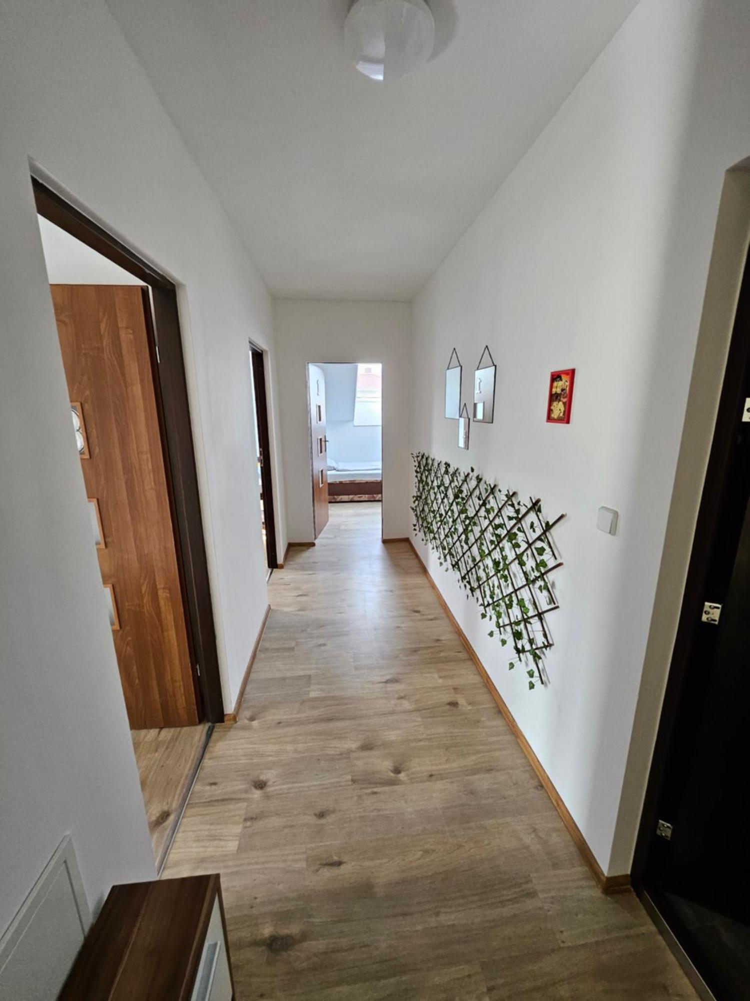 Wohngemeinschaft- Einzelne Zimmer Dresden Exterior foto